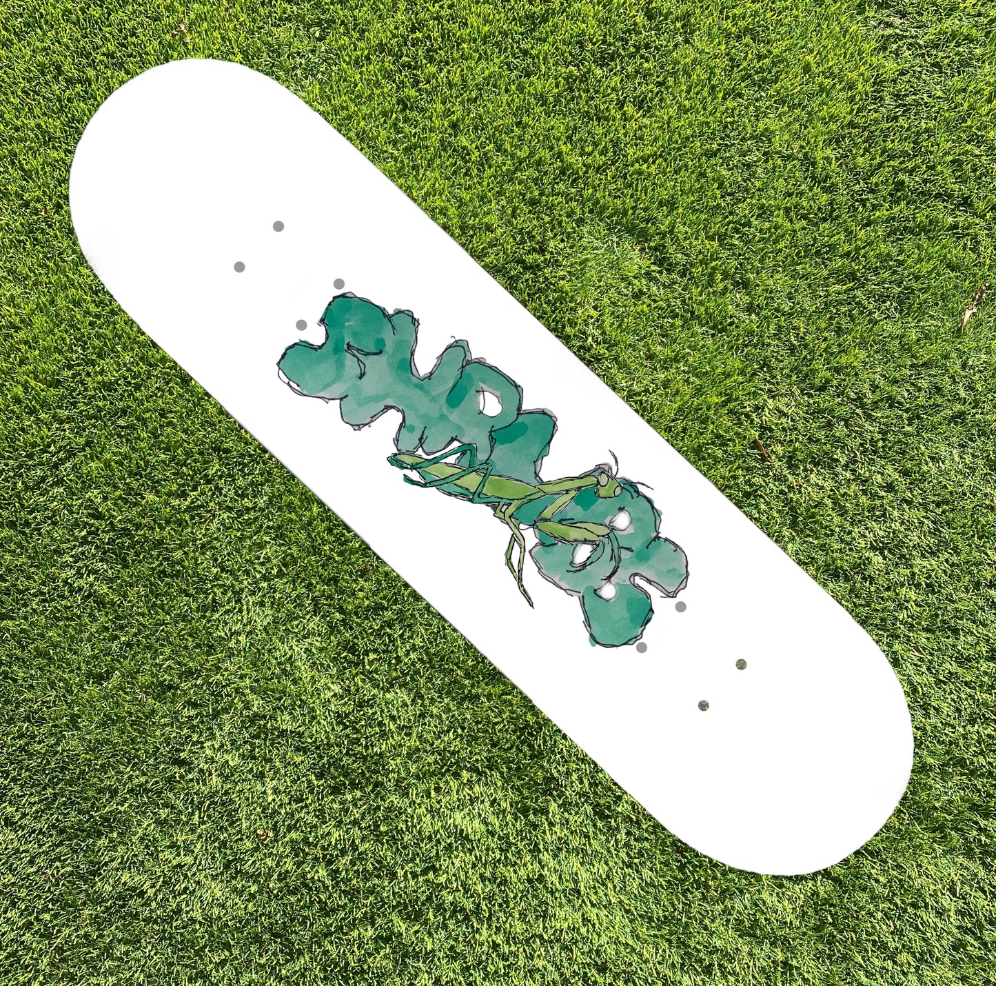 SHRUBS LOGO DECK